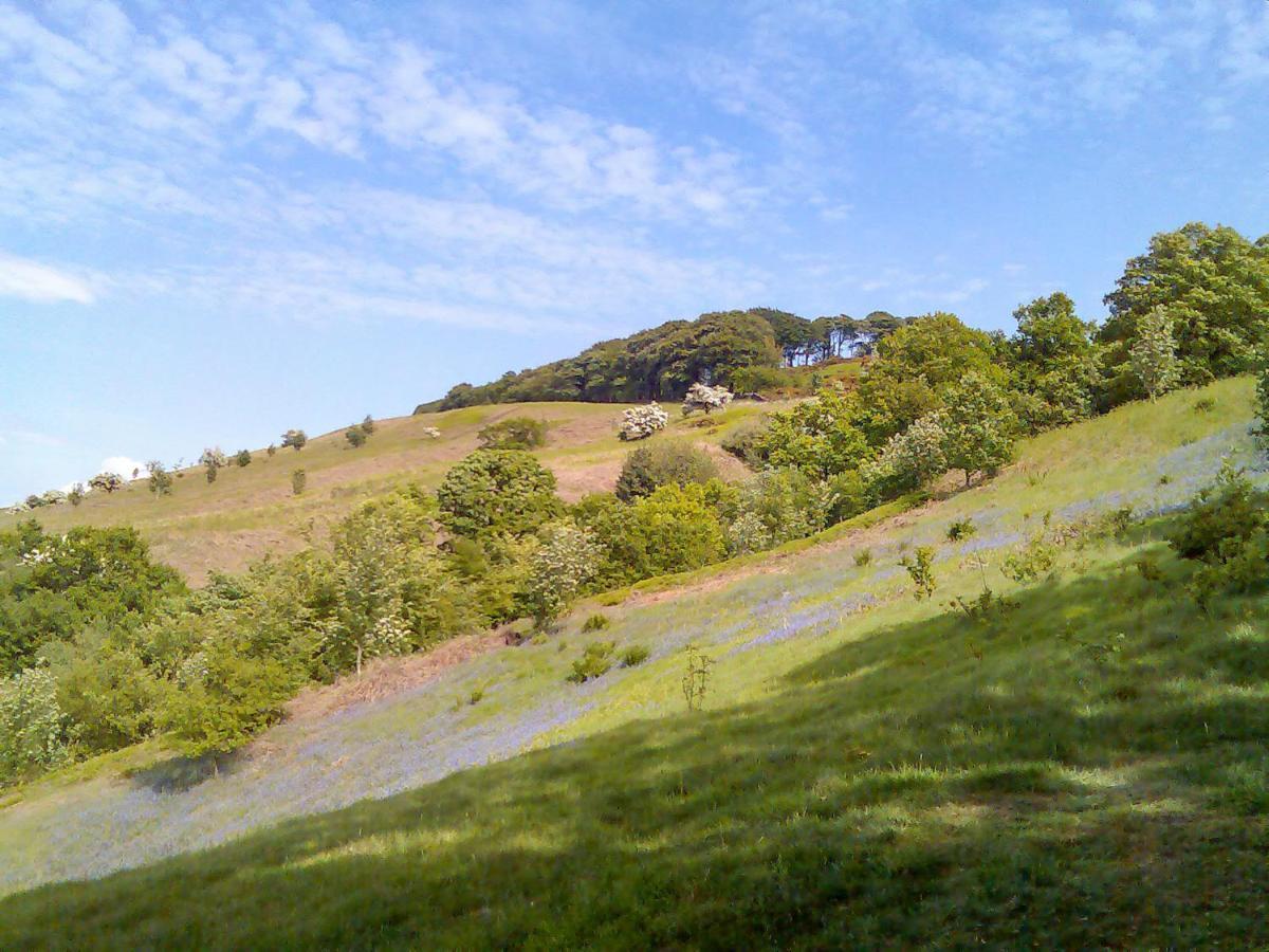 Myddelton Grange Villa Ilkley Exteriör bild